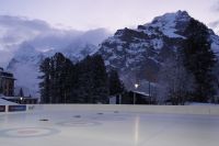 DSC01246a