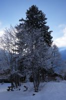 DSC01319a