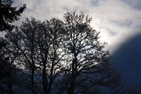 DSC01323a
